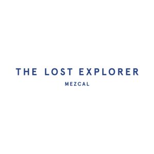 the-lost-explorer